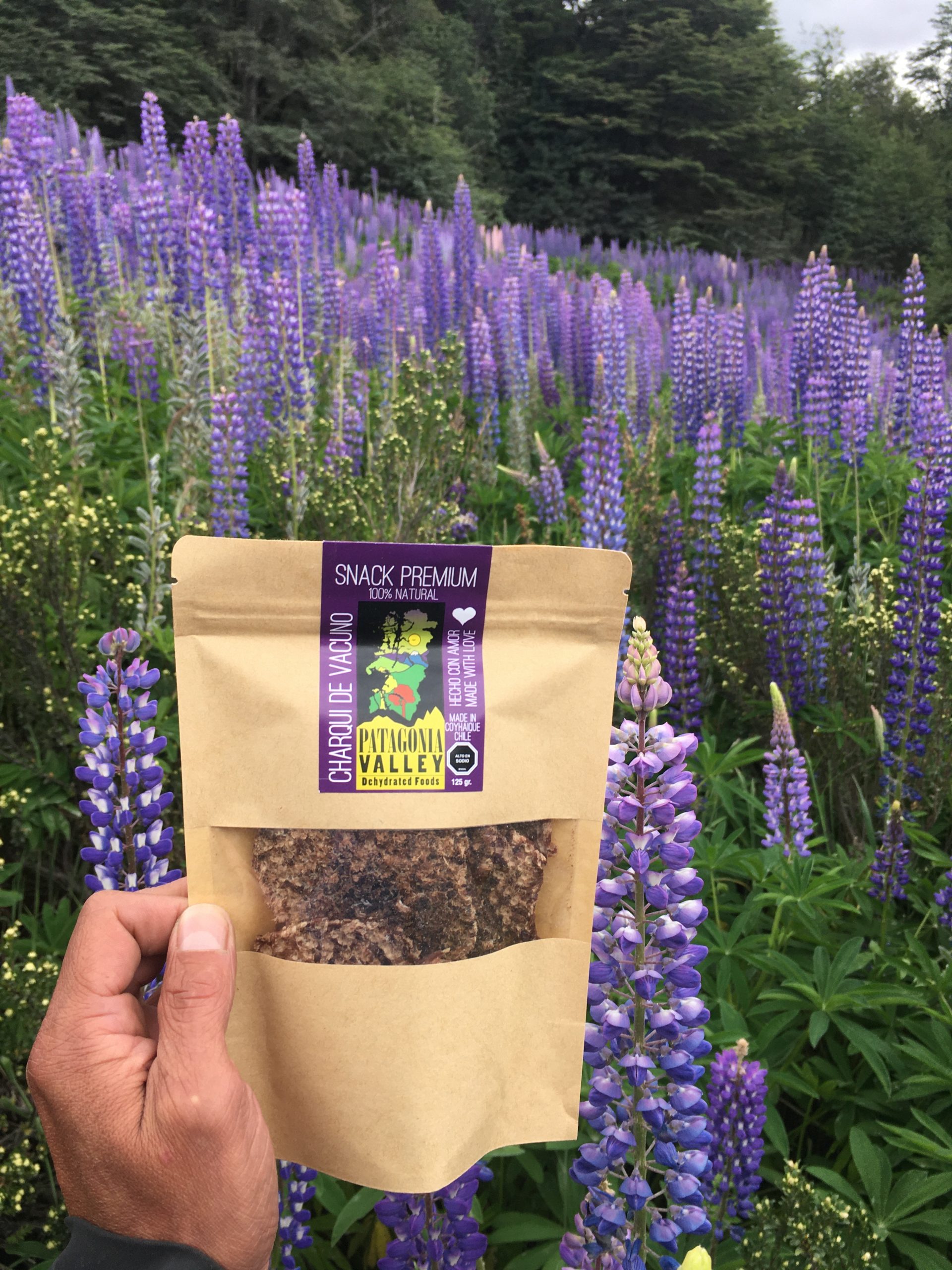 CHARQUI 125 GRS CARRETERA AUSTRAL